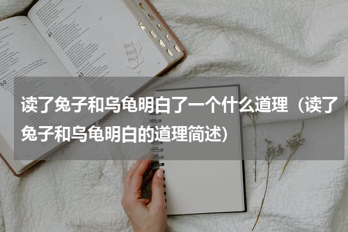 读了兔子和乌龟明白了一个什么道理（读了兔子和乌龟明白的道理简述）