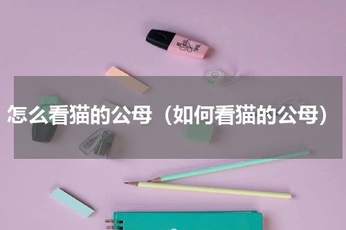 怎么看猫的公母（如何看猫的公母）