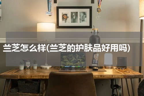 兰芝怎么样(兰芝的护肤品好用吗)