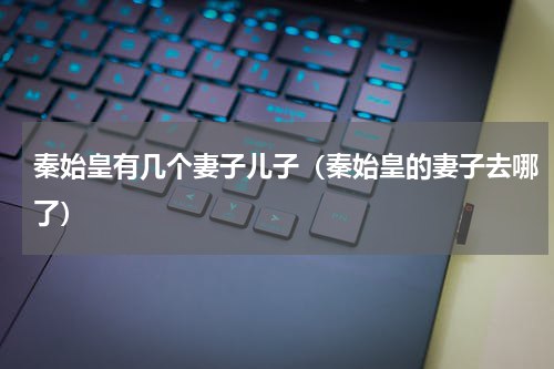 秦始皇有几个妻子儿子（秦始皇的妻子去哪了）