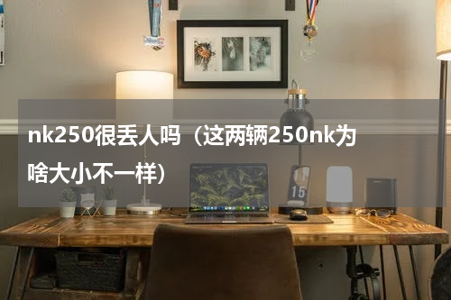 nk250很丢人吗（这两辆250nk为啥大小不一样）