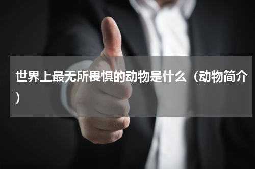 世界上最无所畏惧的动物是什么（动物简介）