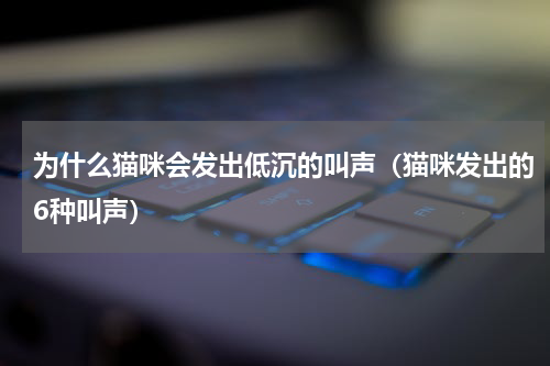 为什么猫咪会发出低沉的叫声（猫咪发出的6种叫声）