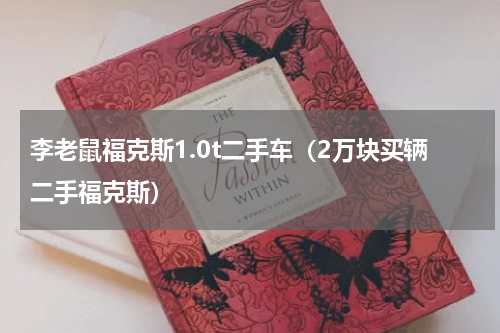 李老鼠福克斯1.0t二手车（2万块买辆二手福克斯）