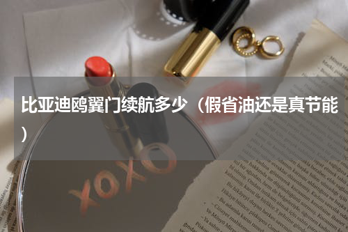 比亚迪鸥翼门续航多少（假省油还是真节能）