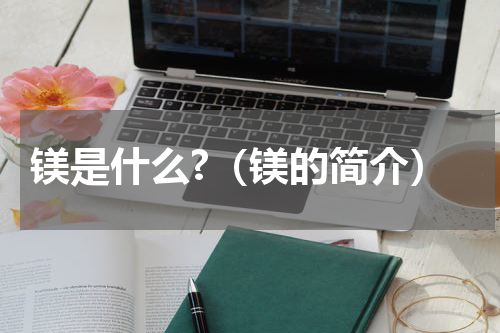 镁是什么?（镁的简介）