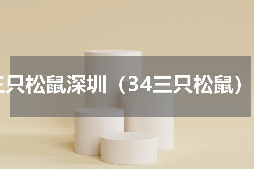 三只松鼠深圳（34三只松鼠）