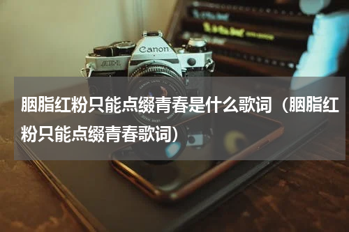 胭脂红粉只能点缀青春是什么歌词（胭脂红粉只能点缀青春歌词）