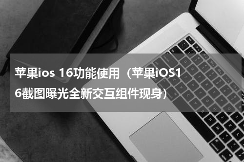 苹果ios 16功能使用（苹果iOS16截图曝光全新交互组件现身）