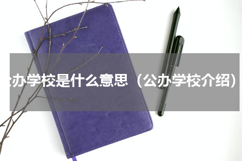 公办学校是什么意思（公办学校介绍）