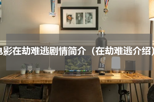 电影在劫难逃剧情简介（在劫难逃介绍）