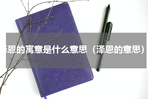 泽恩的寓意是什么意思（泽恩的意思）