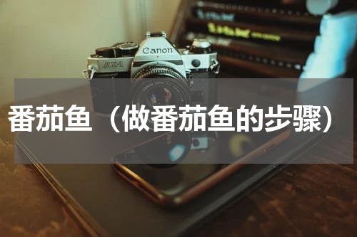 番茄鱼（做番茄鱼的步骤）