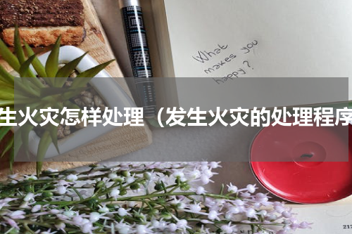 发生火灾怎样处理（发生火灾的处理程序）