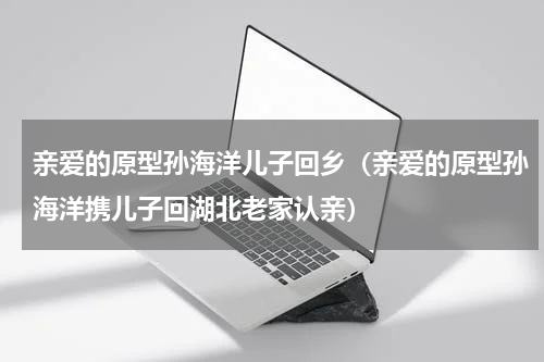 亲爱的原型孙海洋儿子回乡（亲爱的原型孙海洋携儿子回湖北老家认亲）
