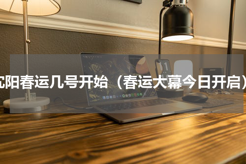 沈阳春运几号开始（春运大幕今日开启）