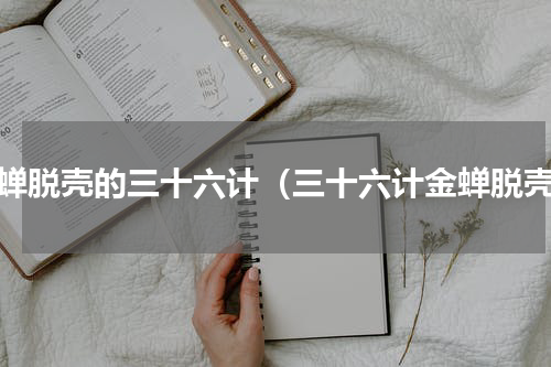 金蝉脱壳的三十六计（三十六计金蝉脱壳）