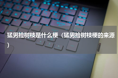 猛男捡树枝是什么梗（猛男捡树枝梗的来源）