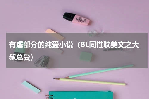 有虐部分的纯爱小说（BL同性耽美文之大叔总受）