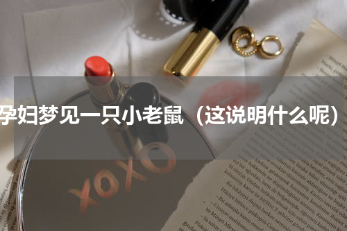 孕妇梦见一只小老鼠（这说明什么呢）
