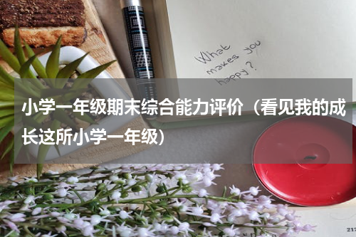 小学一年级期末综合能力评价（看见我的成长这所小学一年级）