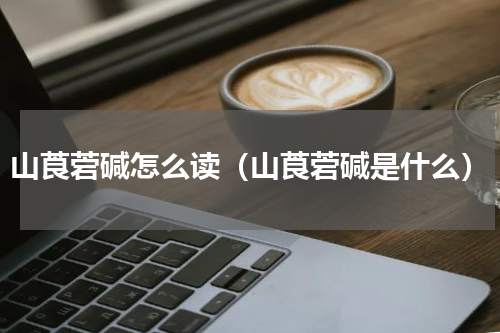 山莨菪碱怎么读（山莨菪碱是什么）