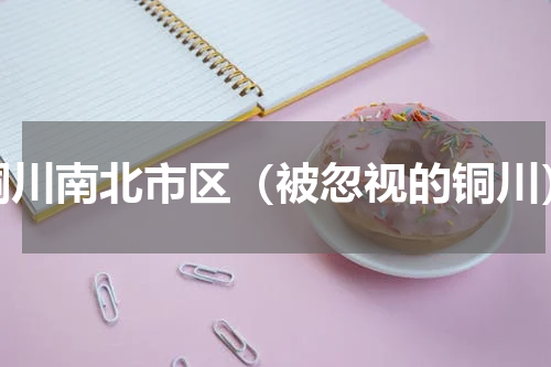 铜川南北市区（被忽视的铜川）