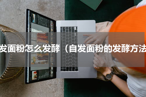 自发面粉怎么发酵（自发面粉的发酵方法）