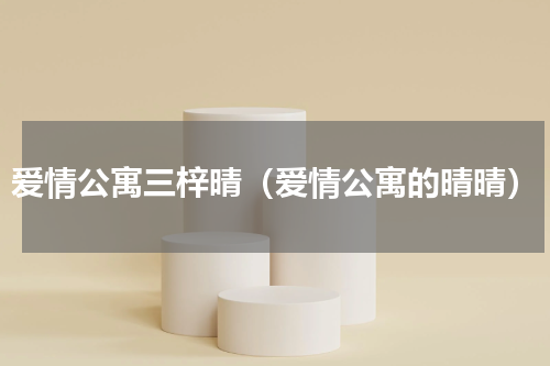 爱情公寓三梓晴（爱情公寓的晴晴）