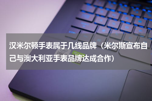 汉米尔顿手表属于几线品牌（米尔斯宣布自己与澳大利亚手表品牌达成合作）