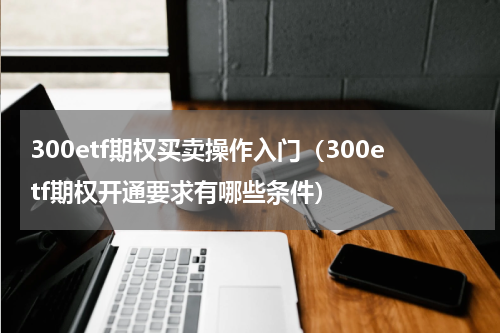 300etf期权买卖操作入门（300etf期权开通要求有哪些条件）