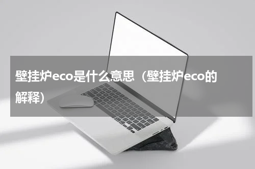 壁挂炉eco是什么意思（壁挂炉eco的解释）