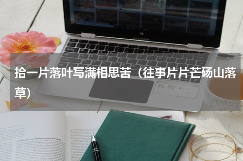 拾一片落叶写满相思苦（往事片片芒砀山落草）
