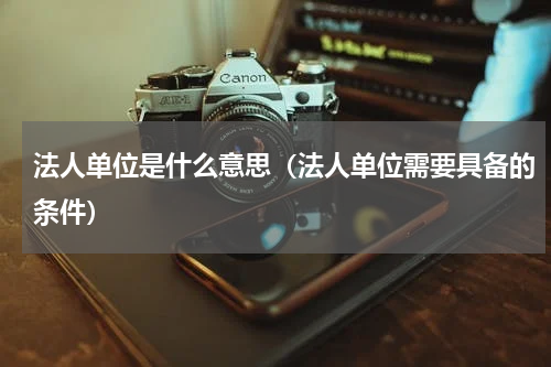 法人单位是什么意思（法人单位需要具备的条件）