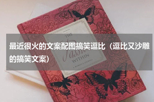 最近很火的文案配图搞笑逗比（逗比又沙雕的搞笑文案）