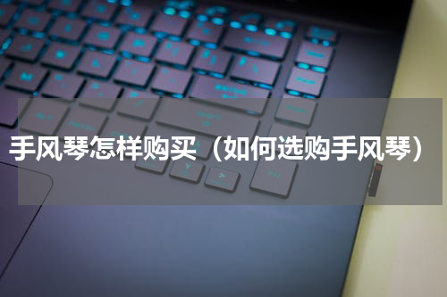 手风琴怎样购买（如何选购手风琴）