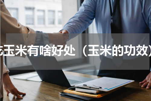 吃玉米有啥好处（玉米的功效）