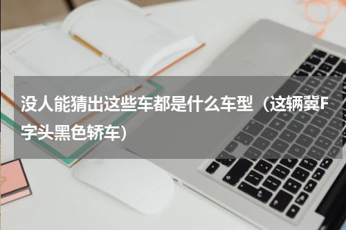 没人能猜出这些车都是什么车型（这辆冀F字头黑色轿车）