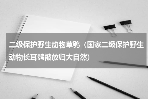 二级保护野生动物草鸮（国家二级保护野生动物长耳鸮被放归大自然）