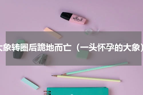 大象转圈后跪地而亡（一头怀孕的大象）