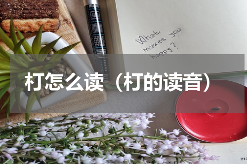 朾怎么读（朾的读音）