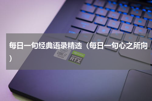每日一句经典语录精选（每日一句心之所向）