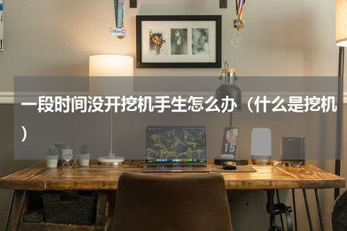 一段时间没开挖机手生怎么办（什么是挖机）