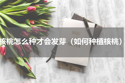核桃怎么种才会发芽（如何种植核桃）
