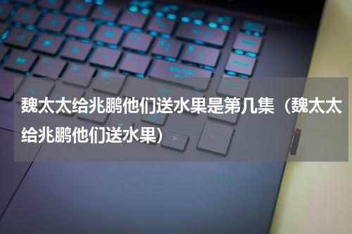 魏太太给兆鹏他们送水果是第几集（魏太太给兆鹏他们送水果）