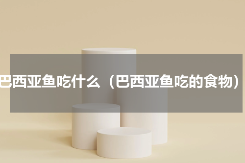 巴西亚鱼吃什么（巴西亚鱼吃的食物）