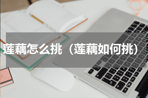 莲藕怎么挑（莲藕如何挑）