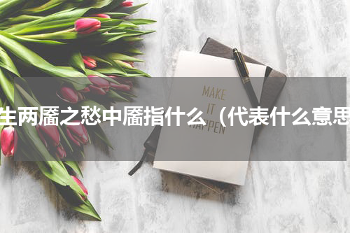 态生两靥之愁中靥指什么（代表什么意思）