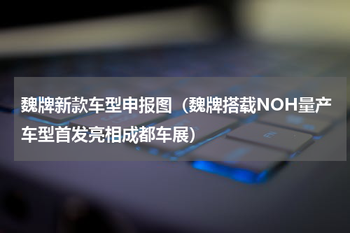 魏牌新款车型申报图（魏牌搭载NOH量产车型首发亮相成都车展）