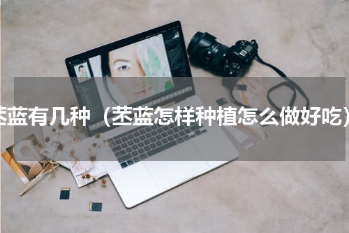 苤蓝有几种（苤蓝怎样种植怎么做好吃）